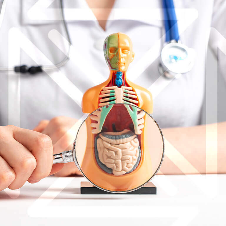 Proctologia
